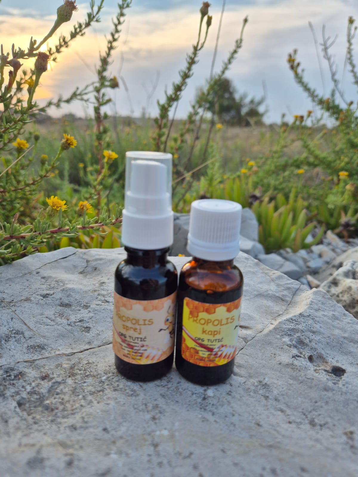 Propolis kapi
