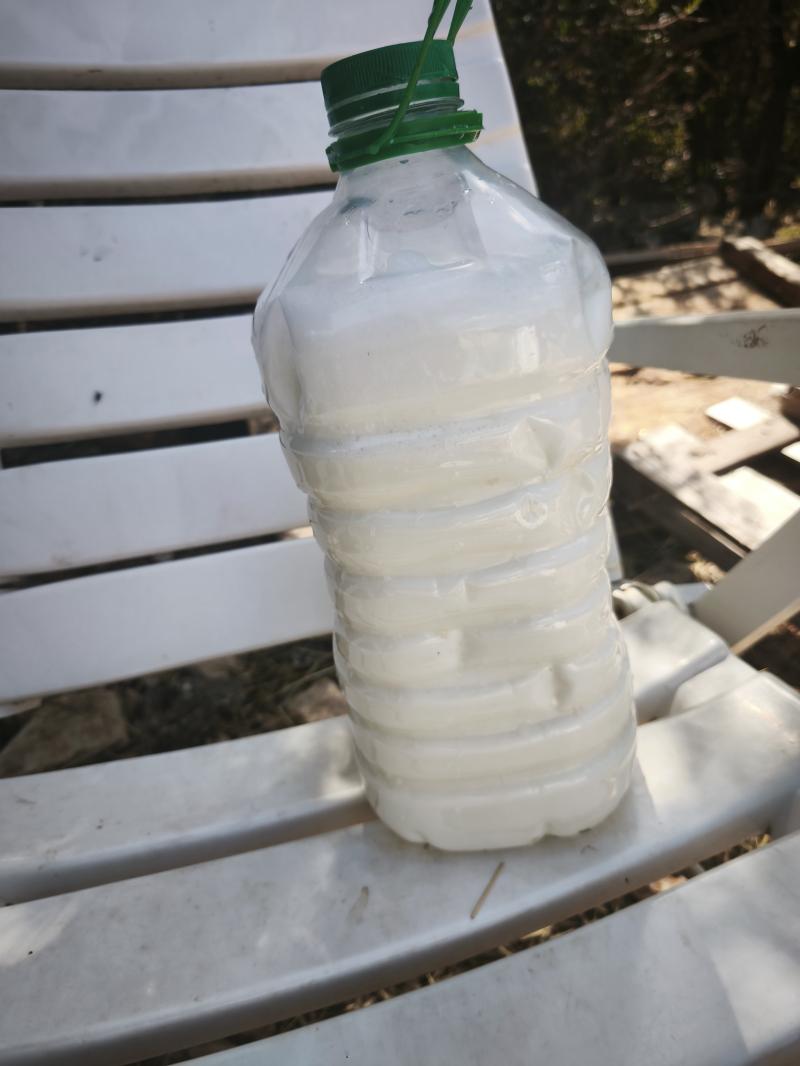 Kozije mlijeko 